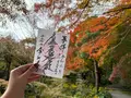 常寂光寺の写真_728578