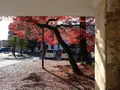 片倉館の写真_729490