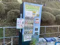 奥大井湖上駅の写真_729635