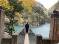 夢の吊橋の写真_729643