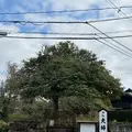 八重垣神社の写真_729685