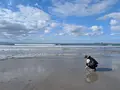 稲佐の浜の写真_729725