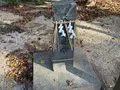 万九千神社の写真_729765