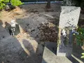万九千神社の写真_729767
