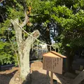 万九千神社の写真_729771
