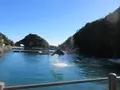 太地町立くじらの博物館の写真_729992