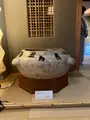 あらや滔々庵の写真_733294