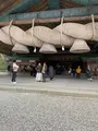 出雲大社の写真_734386