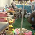 田子坊（Tianzifang）の写真_734619