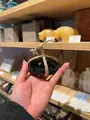 小樽百貨 UNGA↑（うんがぷらす）の写真_734728