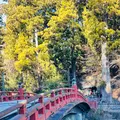 神橋の写真_734742