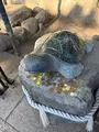 酒列磯前神社の写真_736206