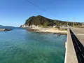 柏島の写真_736917