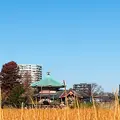 不忍池辯天堂の写真_738382