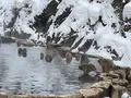 地獄谷野猿公苑の写真_741385