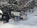 地獄谷野猿公苑の写真_741407