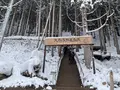 地獄谷野猿公苑の写真_741411