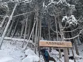 地獄谷野猿公苑の写真_741414