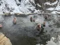地獄谷野猿公苑の写真_741415