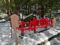 出雲大神宮の写真_741725