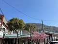 河津駅の写真_745667