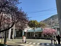 河津駅の写真_745668