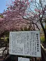 栖足寺の写真_745703