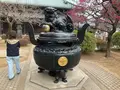 豪徳寺の写真_745955