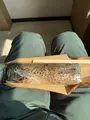 食い亭の写真_746721