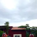 百年古家 大家の写真_750029