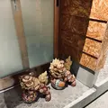 めしや 魚界人 裏片町店の写真_750259