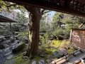 武家屋敷跡 野村家の写真_750270