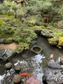 武家屋敷跡 野村家の写真_750276
