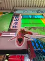 大松水産業務部・近江町旬彩焼の写真_750312