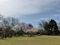 松ヶ岡公園の写真_751734