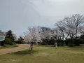 松ヶ岡公園の写真_751737
