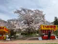 松ヶ岡公園の写真_751738