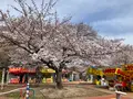 松ヶ岡公園の写真_751740