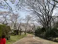 松ヶ岡公園の写真_751741