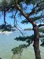 福浦橋の写真_752620