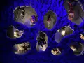 水木しげる記念館の写真_755107