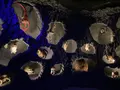 水木しげる記念館の写真_755108