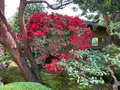 由志園の写真_755138