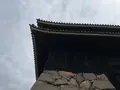 松江城の写真_755298