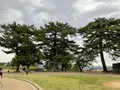 松江城の写真_755316