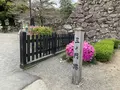 松江城の写真_755329