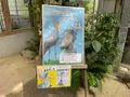 松江フォーゲルパークの写真_755337