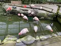 松江フォーゲルパークの写真_755338