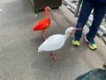 松江フォーゲルパークの写真_755340