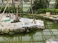 松江フォーゲルパークの写真_755341